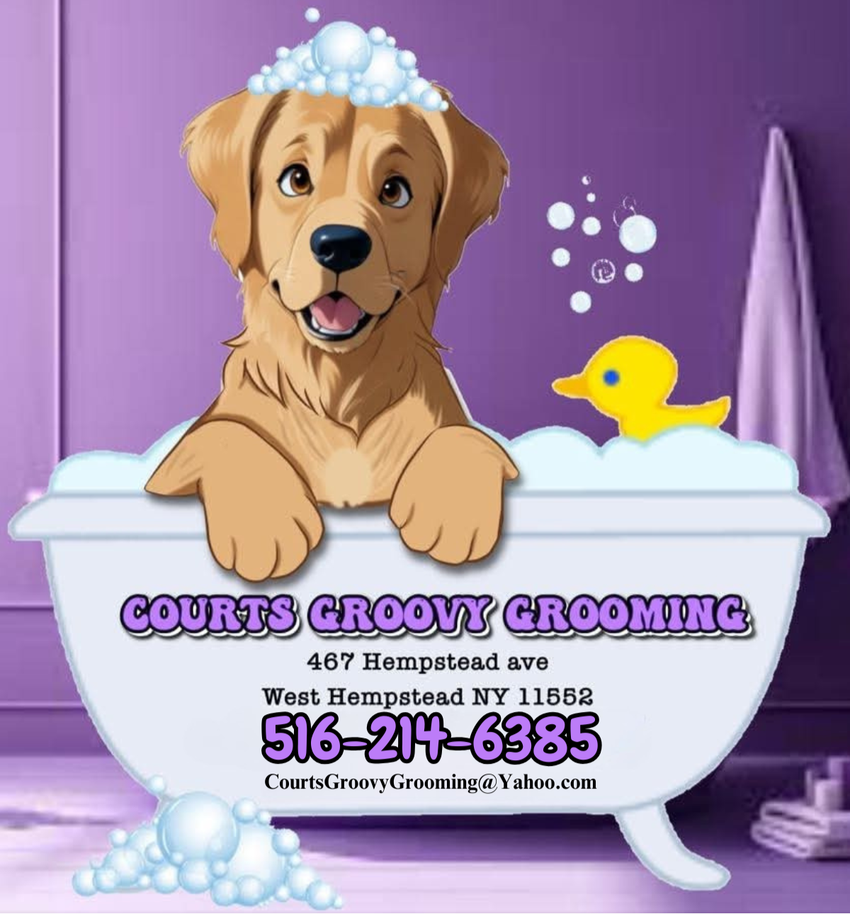 Court's Groovy Grooming business photo